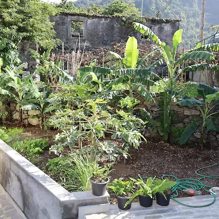 Dom wakacyjny Casa Feiteiras By Analodges *